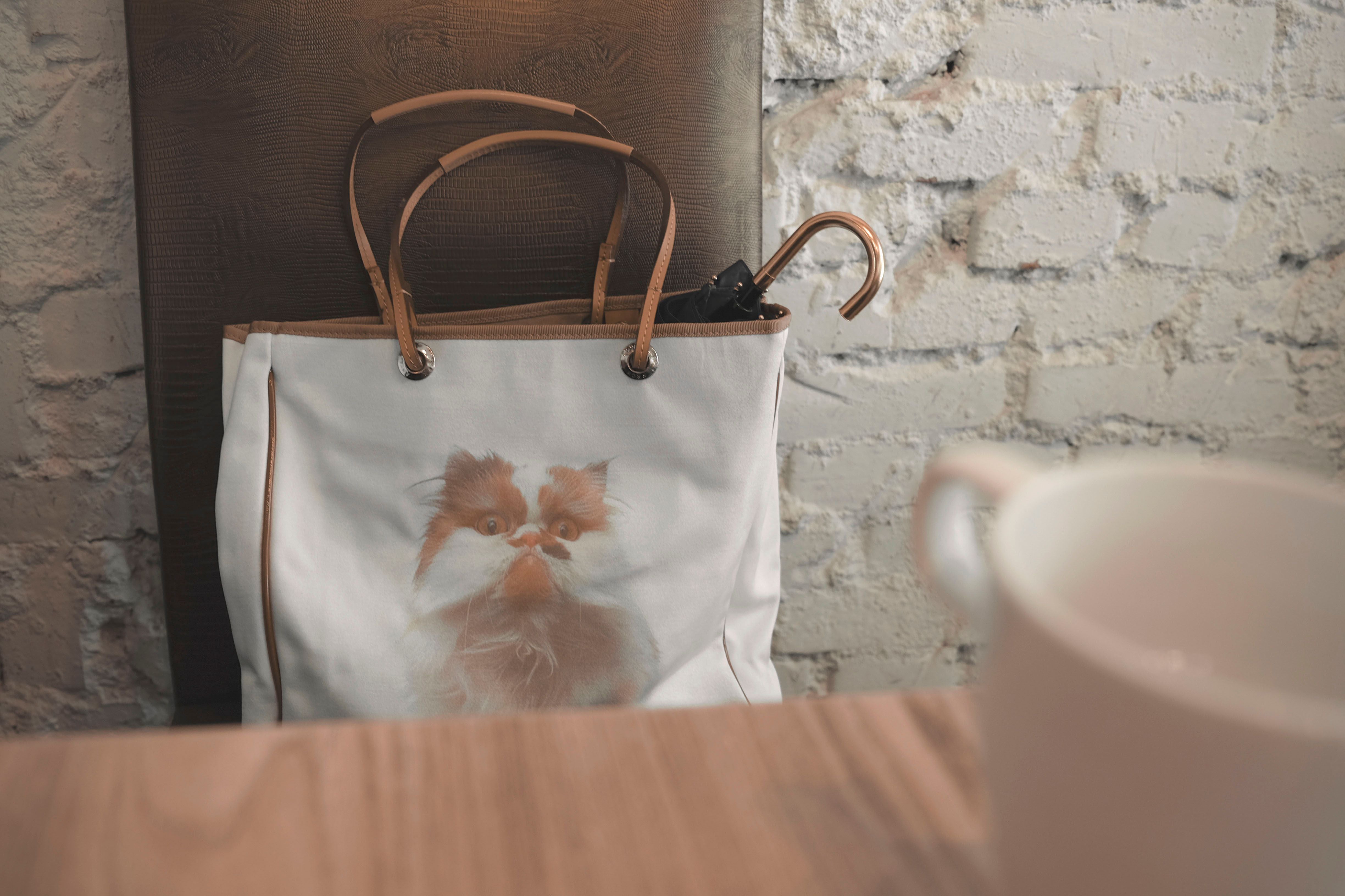 Youth Vitality Trendy Accessory Collections